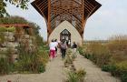 IMG 1623 web