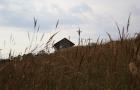 IMG 1652 web