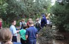 IMG 1662 web